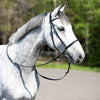 gray horse wearing a bitless bridle, parts of the bridle