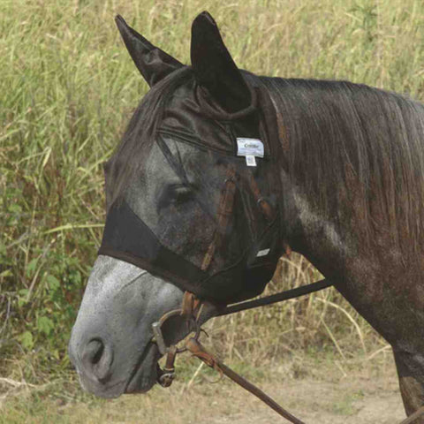 fly prevention for horses, fly control for horses