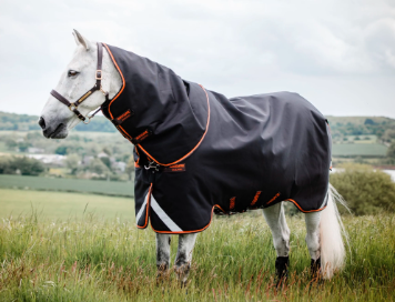 mediumweight winter horse blanket