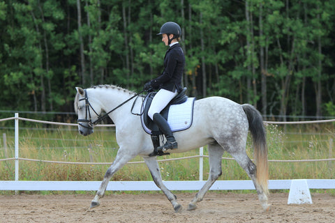 dressage horse tack