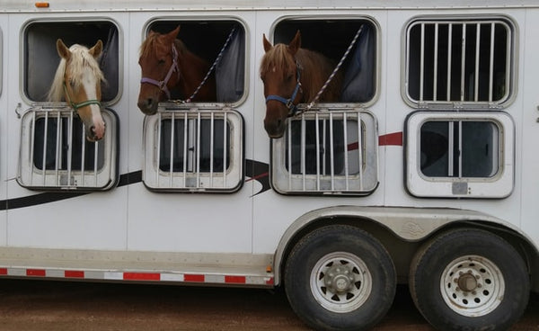 trailering to equestrian competition