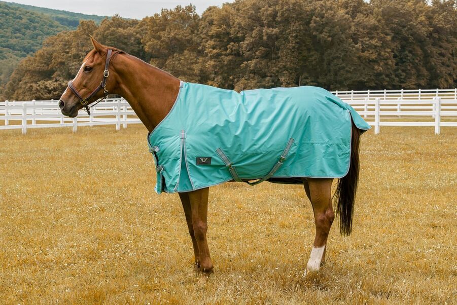  TuffRider Kozy Komfort Stable Blanket 72 Black : Pet Supplies