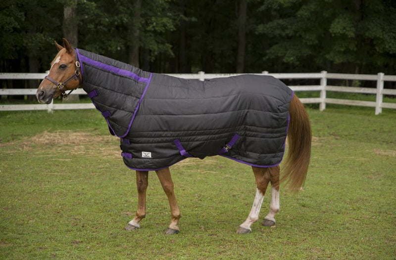 Big D Kodiak Stable Blanket- Horse Blankets