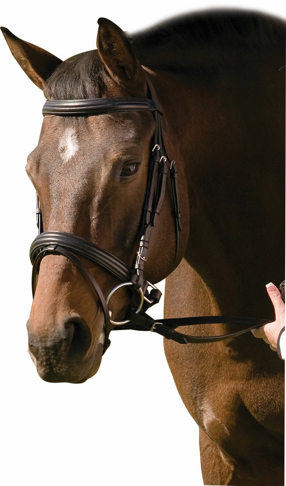 GATSBY ENGLISH SADDLE HORSE BROWN RAISED PADDED LEATHER DRESSAGE EVENTING BRIDLE 