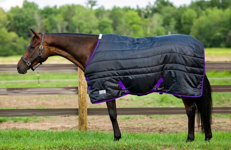 Big D Kodiak Stable Blanket