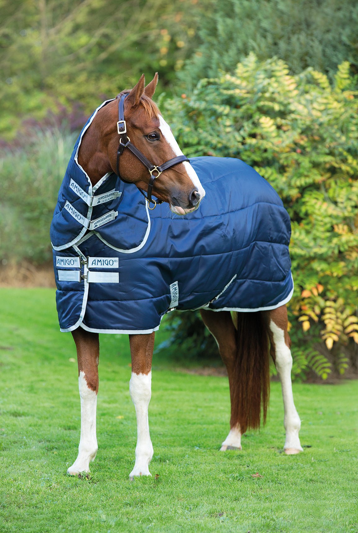 Horseware, Intimates & Sleepwear, Horseware Ireland Sports Bra Size M Us  8