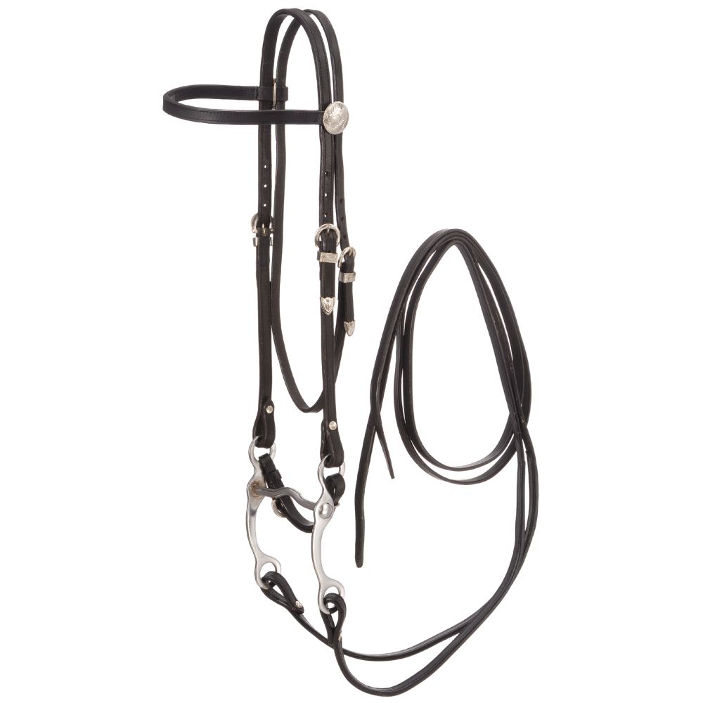 King Series Browband Bridle w/ Hackamore | Breeches.com