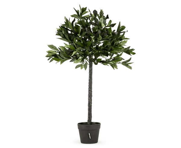 Botanica Artificial Bay Tree 90cm Sir John S Gifts