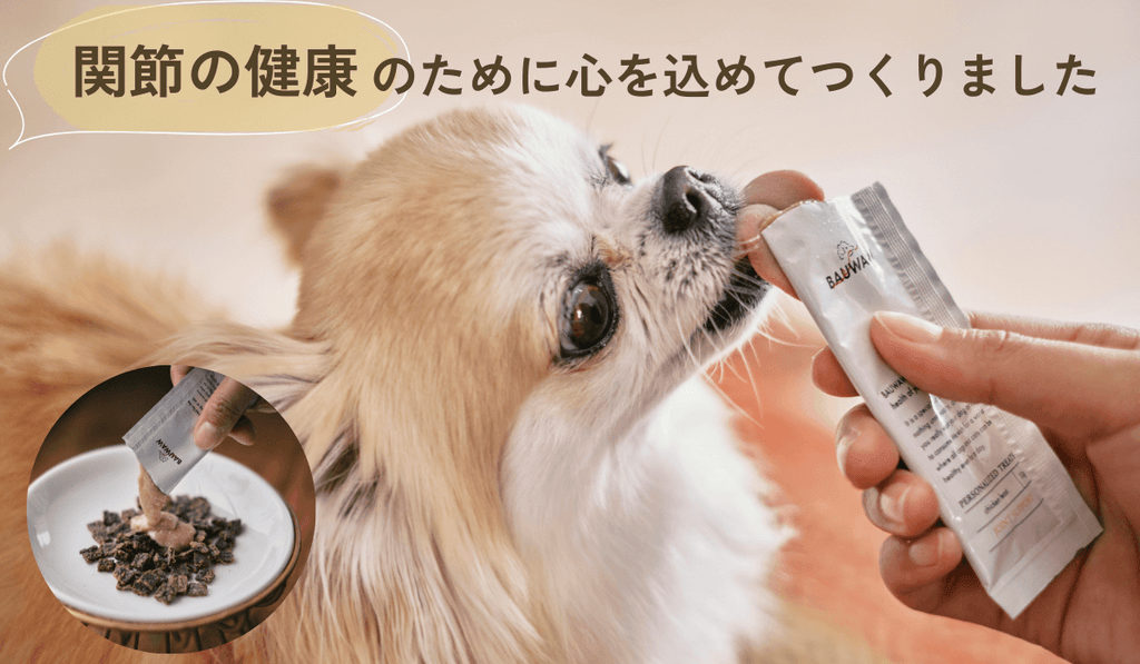 【獣医師監修】愛犬の為の関節健康サポートおやつ|バウワウ プレイス