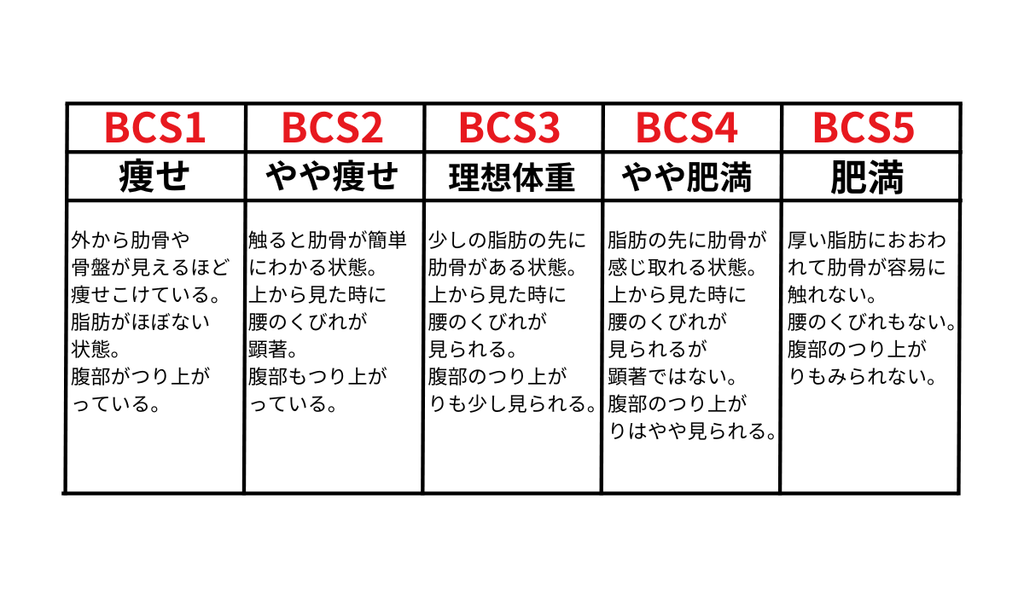 BCS Table