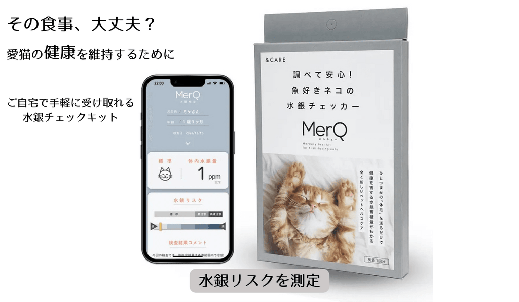 MerQ（メルキュー）について｜バウワウ プレイス