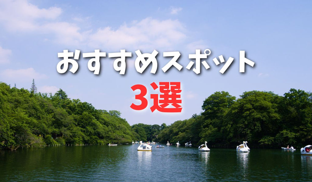 わんちゃんとのお花見おすすめスポット3選