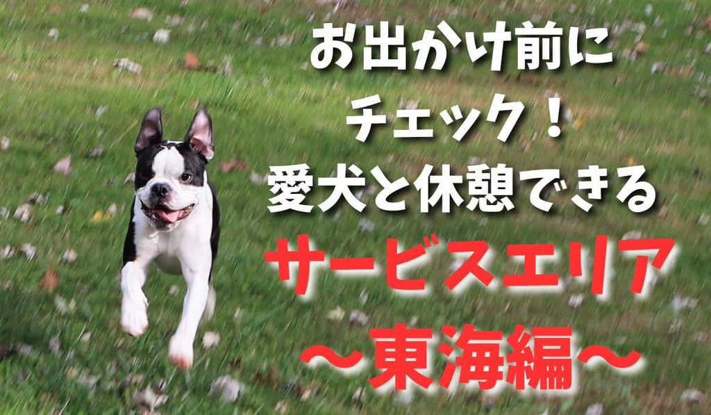 お出かけ前にチェック！愛犬と休憩できるSA～東海編~