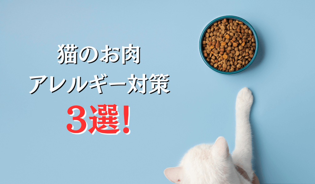 猫のお肉アレルギー対策3選