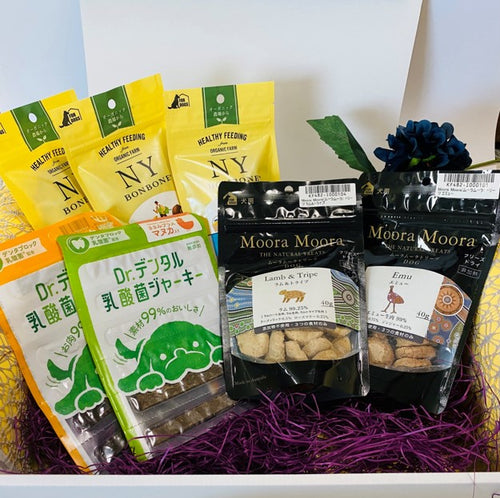 Snack Gift Special Treat Set for Dogs