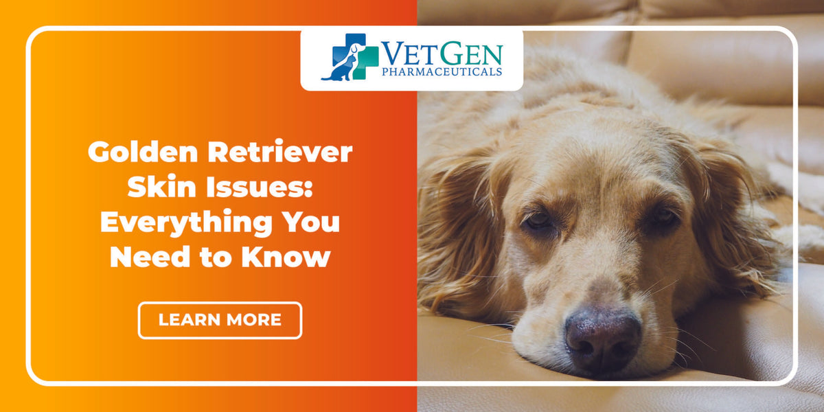 how do i get my golden retriever to stop itching