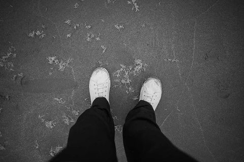 View looking down at a pair of white elliotts on a beach