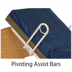 Pivoting Assist Bars