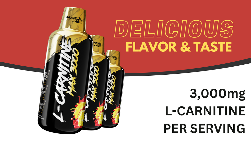 L-CARNITINE MAX 3000 - LIQUID L-CARNITINE