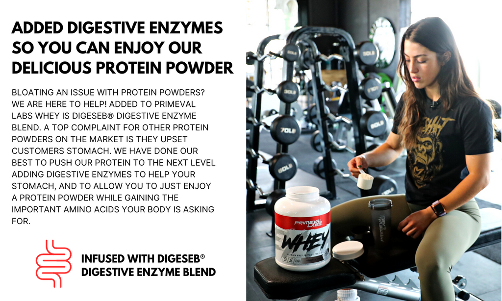 economy whey protein powder with digestive enzymes