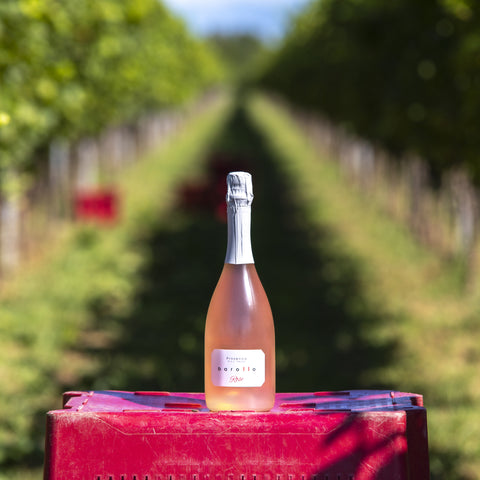 Prosecco Rosado Millesimato Brut Barollo