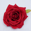 Ruža záhradná 9 cm, TMAVO ČERVENÁ, cena za 12ks