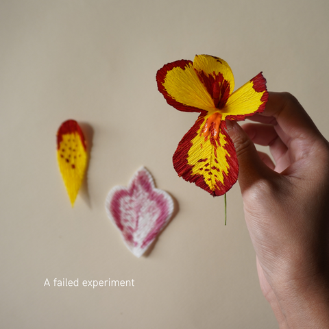 Behind the scenes of a failed experiment. Paper Orchid