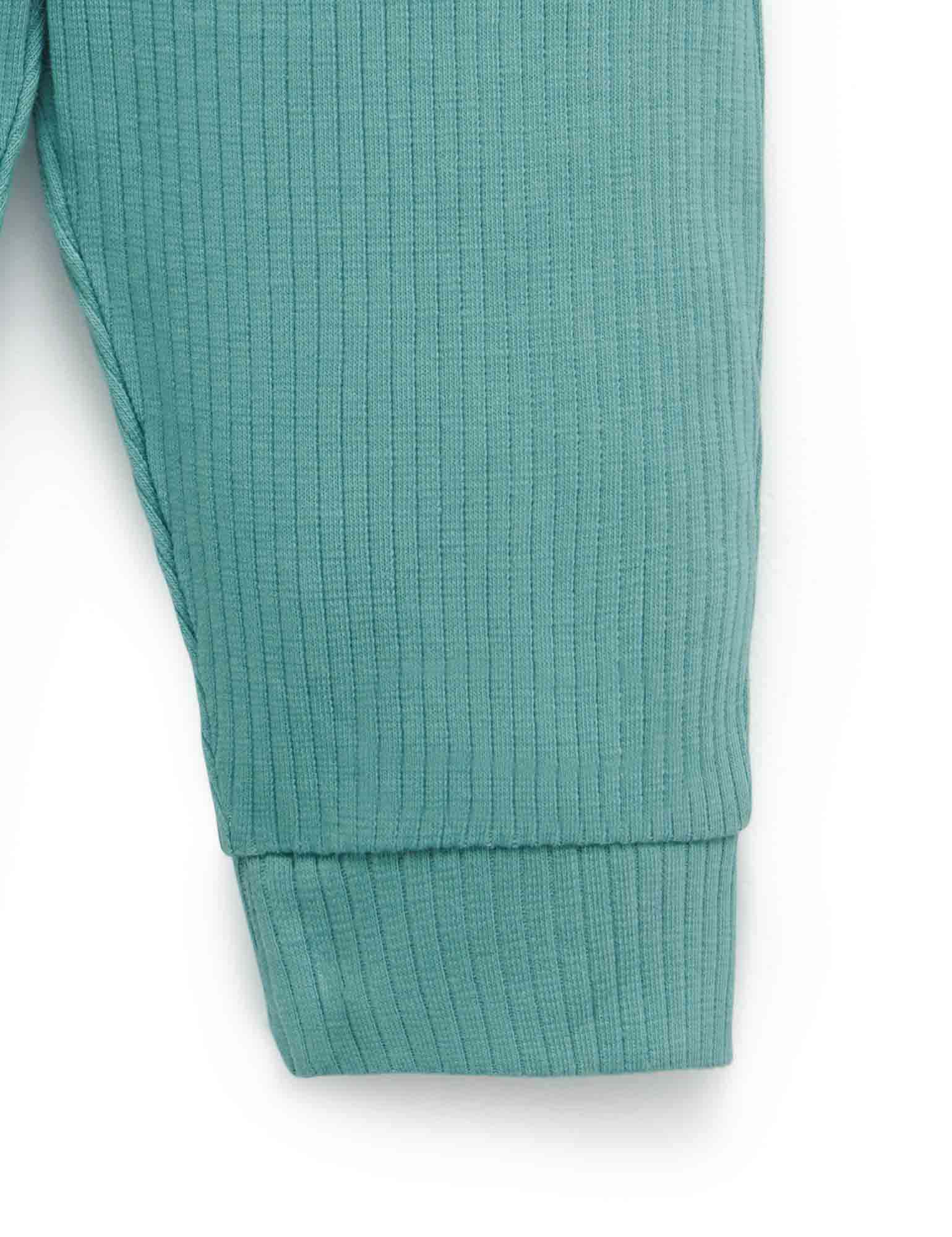 Rib Leggings - Moss Green - Purebaby