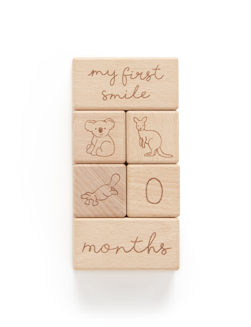 Milestone blocks Natural Purebaby