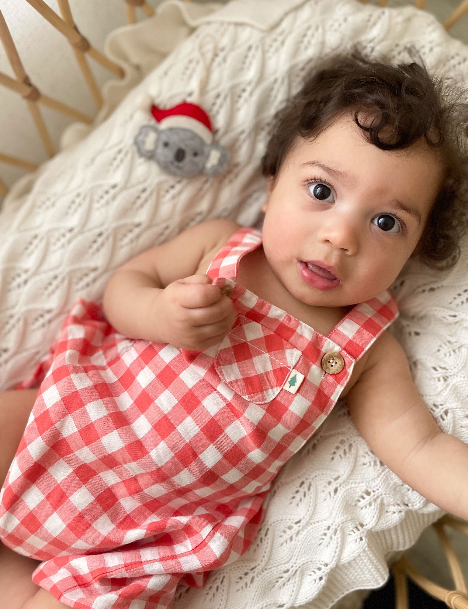 Baby girl store red gingham dress