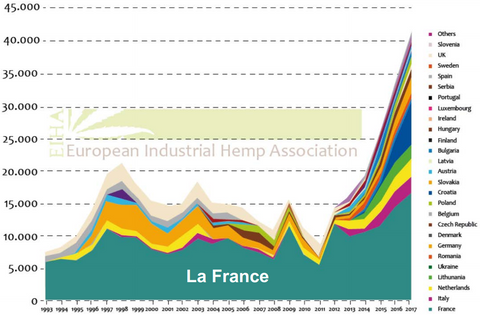 America Europe's leading hemp producer - Mama Kana