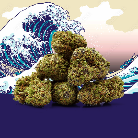 Blue Zushi CBD 🍣 [Sous-serre] Image 1
