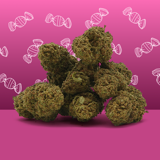 Zkittlez CBD 🍬 [Sous-serre] Image 1