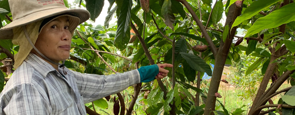 Femme sur la plantation de cacaoyers