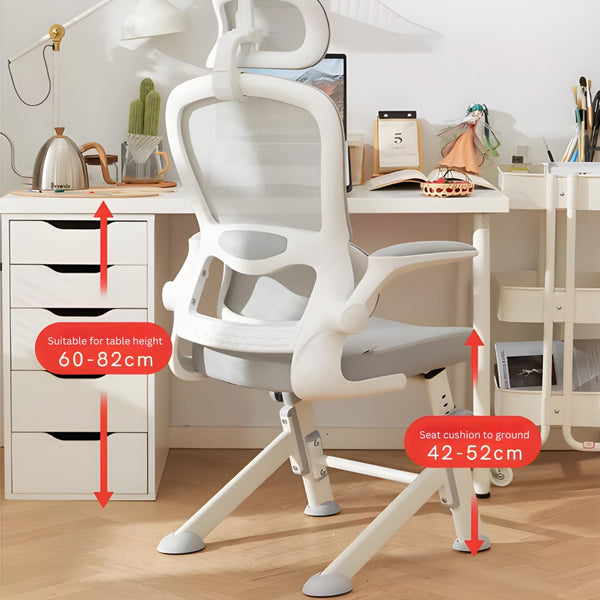 LearnLuxe Ergonomic Study Chair