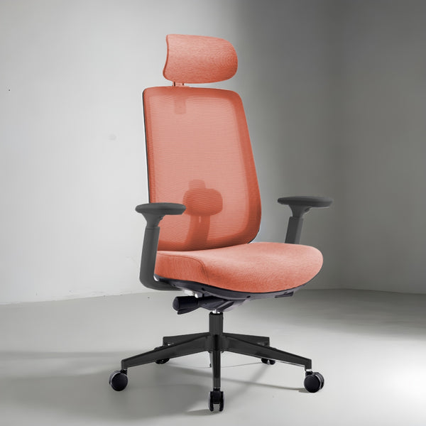 Infinity Mesh Office Ergonomic Chair