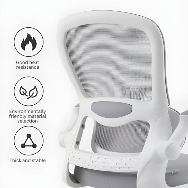 LearnLuxe Ergonomic Study Chair