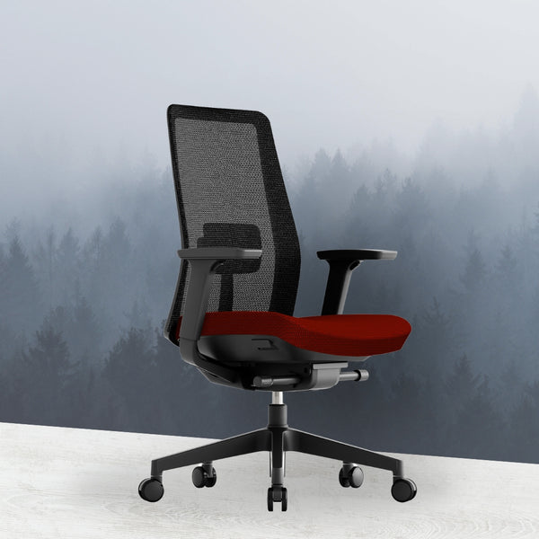 Blackframe_ergonomic_chair