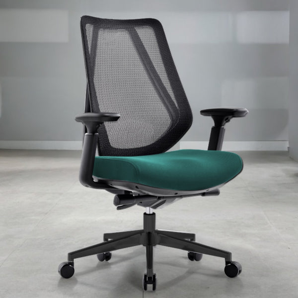 Office_ergo_chair