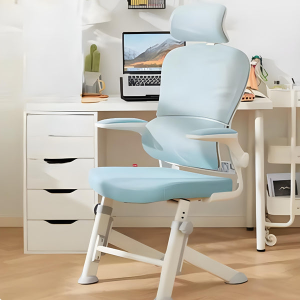 LearnLuxe Ergonomic Study Chair