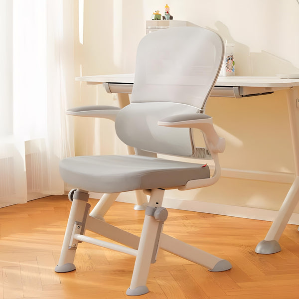 LearnLuxe Ergonomic Study Chair