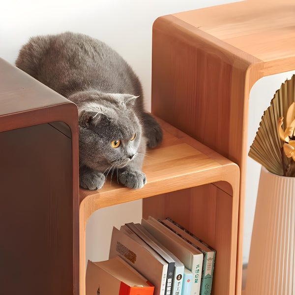 SG Stackable Beech Cube Bookshelf