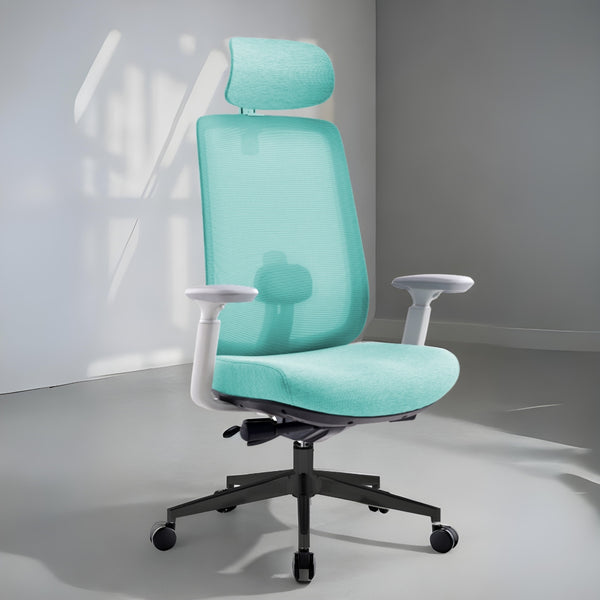 Infinity Mesh Office Ergonomic Chair