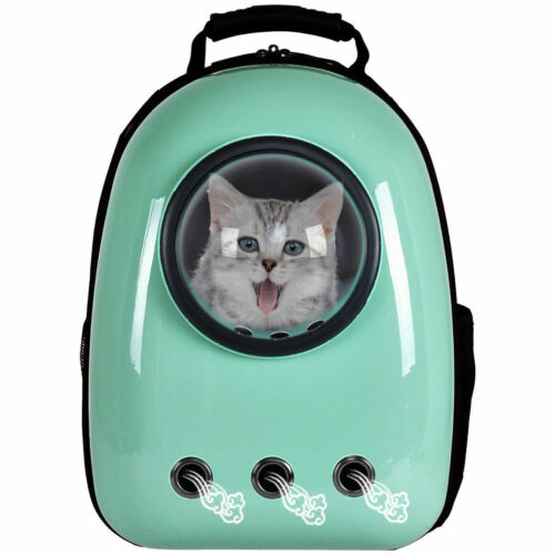 small pet carrier