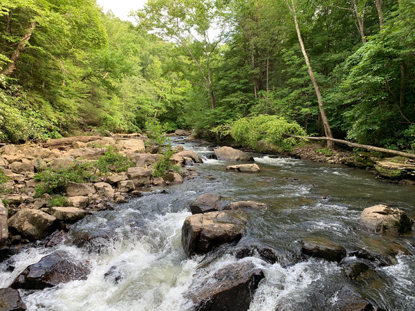 Meadow Run Trail: Big Rocks and Cool Falls In Ohiopyle State Park, PA ...
