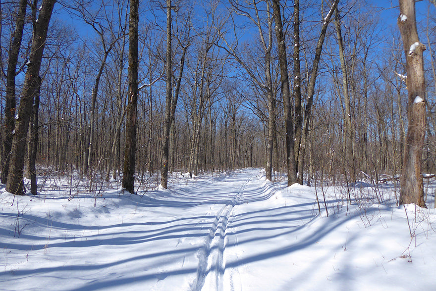 Winter Adventure Getaways In Moshannon State Forest Pa Purple