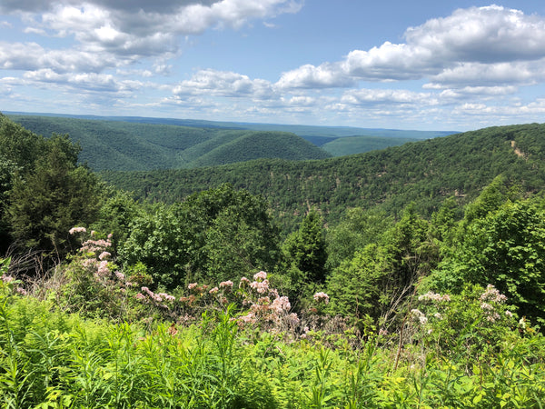 Bikepacking Tiadaghton State Forest PA