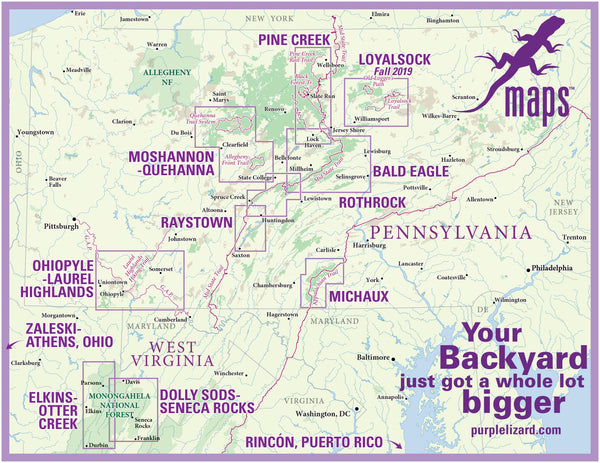 Purple Lizard Map Locator Graphic