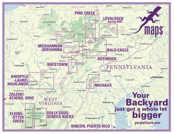 Purple Lizard Maps Locator Graphic