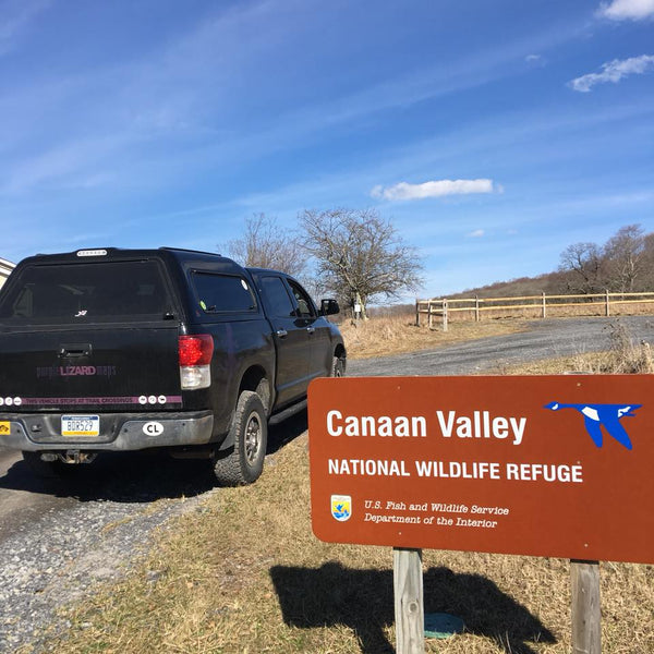Canaan Valley National Wildlife Refuge